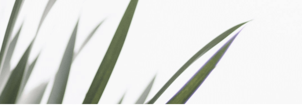 Generic
